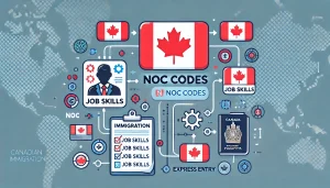 How Are NOC Codes Used in Immigration Applications